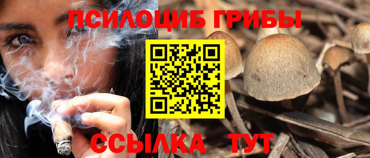 Железноводск  Галлюциногенные грибы Magic Shrooms  Вход с VPN 